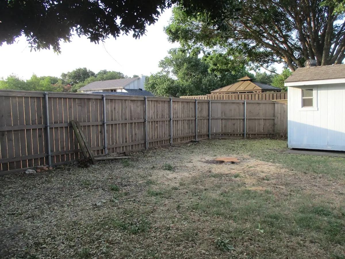 Cleared yard after professional tree removal in Wapanucka